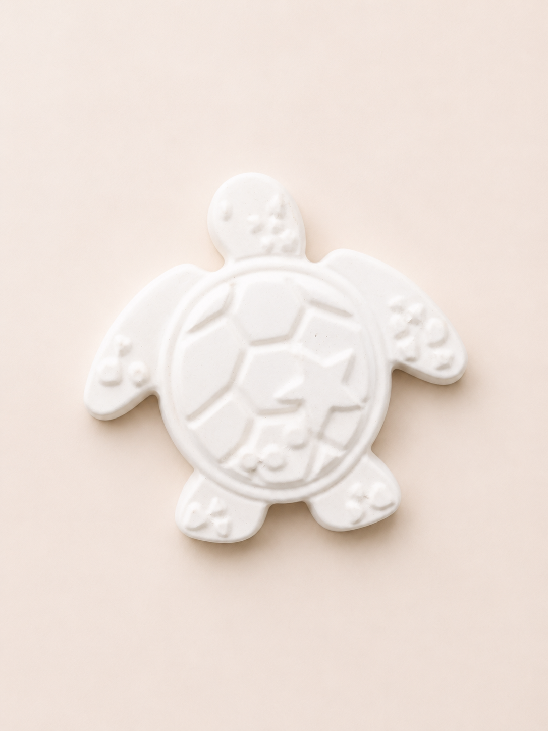 DIY-pakket Schildpad